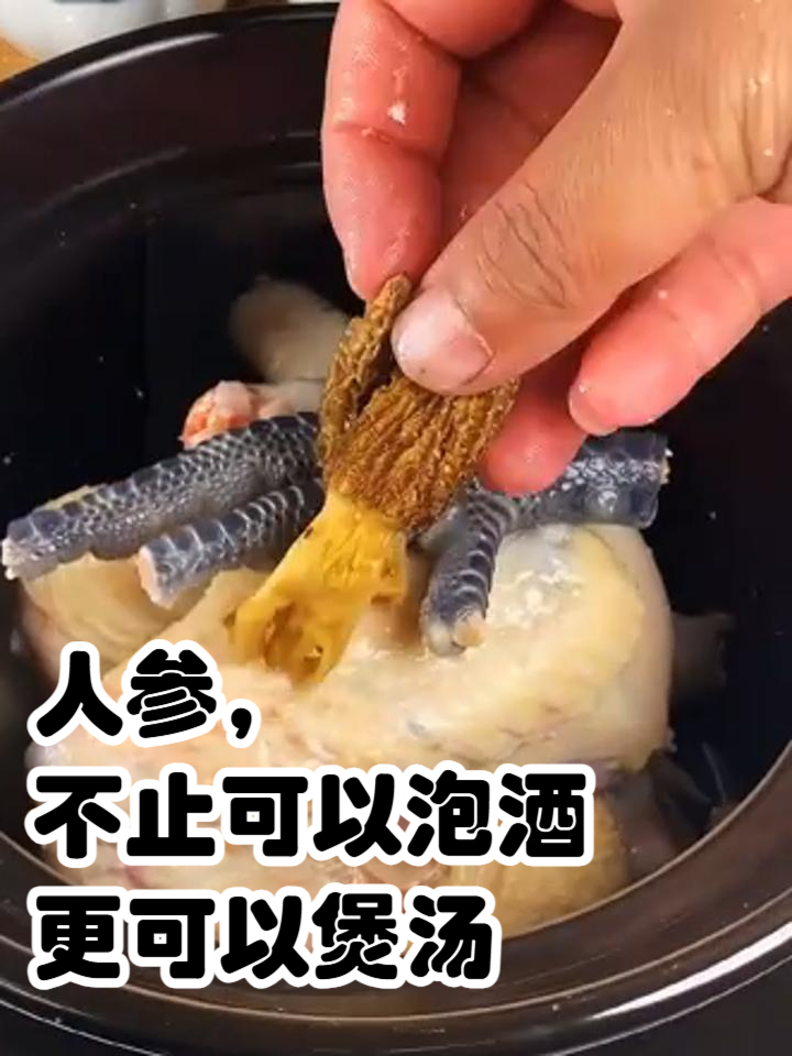 小鸡炖人参,你吃过嘛,你知道怎么炖营养最丰富吗?今天来教你