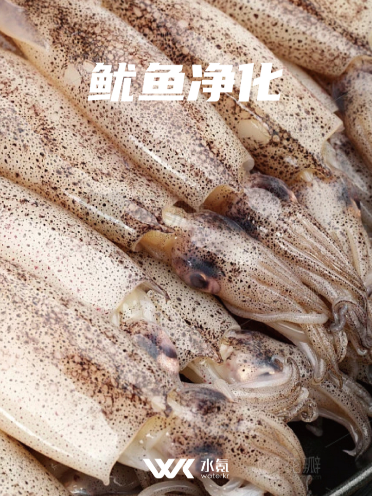 冷冻鱿鱼变橡胶?净化之下鲜货冻货竟有这么大区别!
