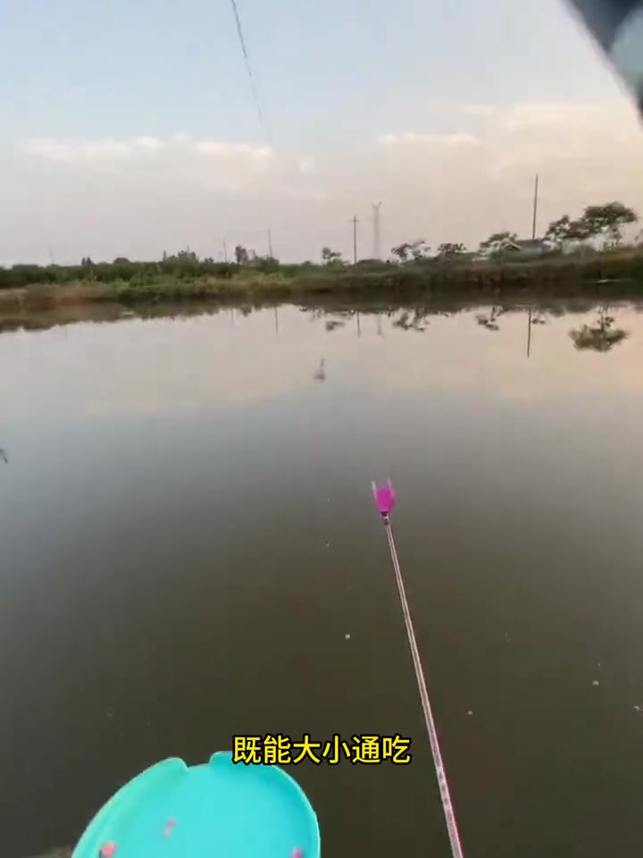 到底什么样的鱼钩,能大小鱼通吃,还是鲫鲤通钓?