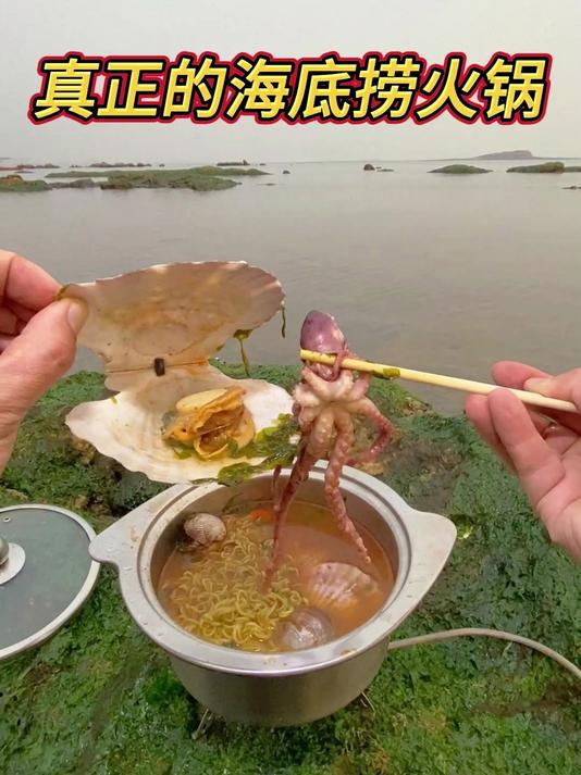 这才是真正的海底捞自助火锅,现抓现吃