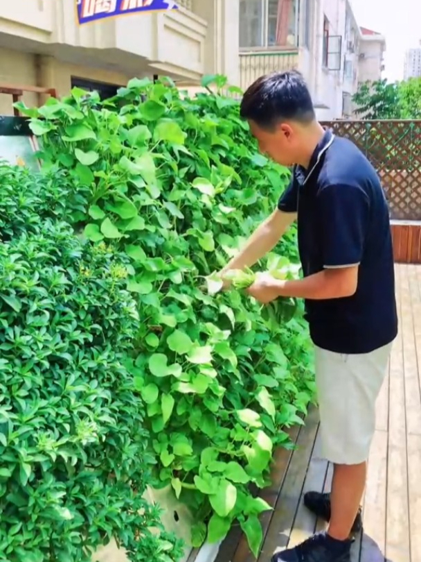 矿泉水瓶种菜,自己动手就可以完成,但你一定要知道管材怎么选