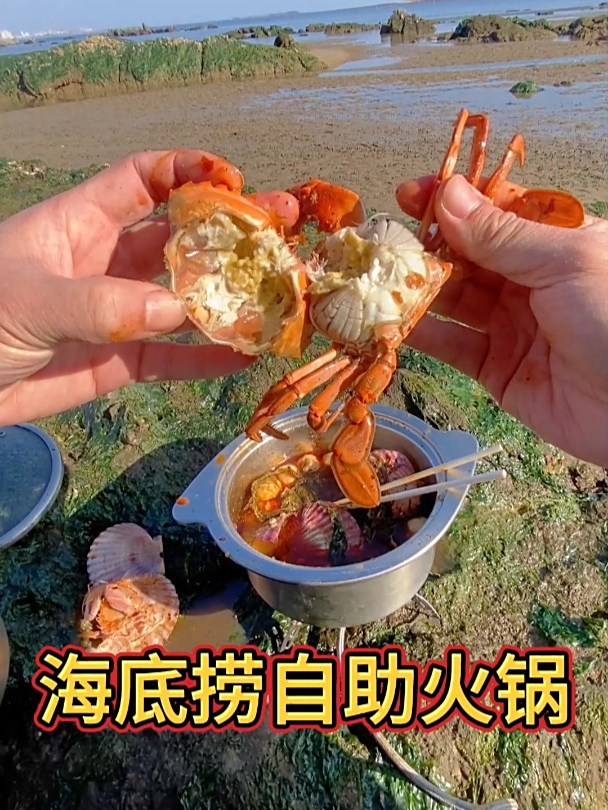 赶海吃火锅,现抓现吃