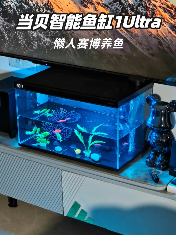 沉浸式赛博养鱼,当贝智能鱼缸1Ultra