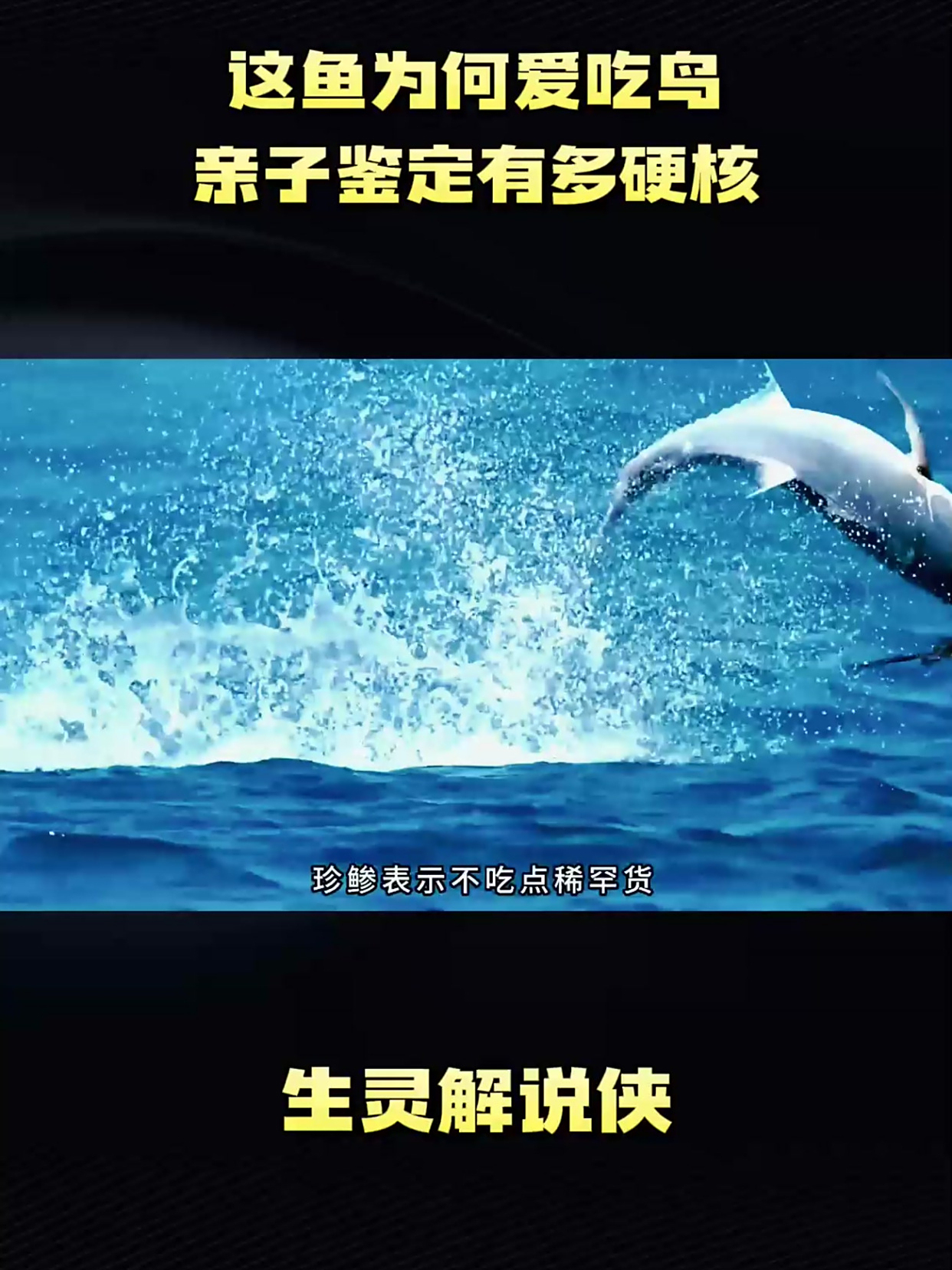 这鱼为何爱吃鸟,亲子鉴定有多硬核