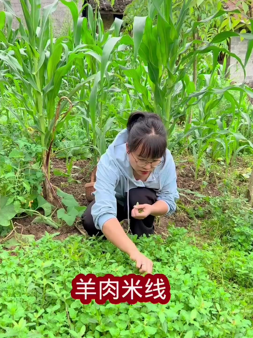 别人送了点羊肉,用它做个我们云南的特色小吃羊肉米线