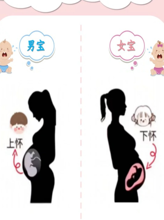肚子位置偏下的是女宝宝喔