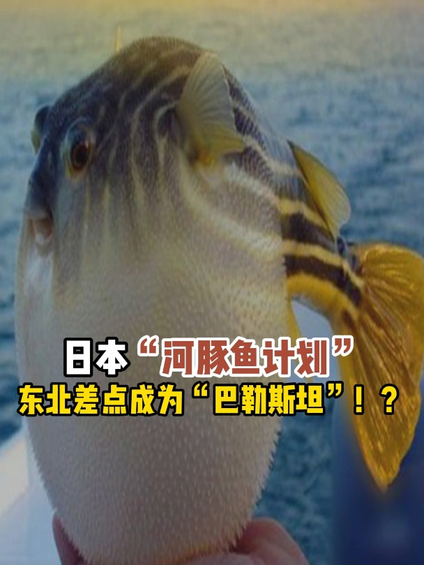 日本“河豚鱼计划”,东北差点成为“巴勒斯坦”!?