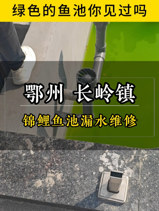 鱼池防水怎么做
