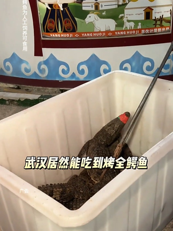有人吃过烤鳄鱼吗?武汉居然可以吃到了!