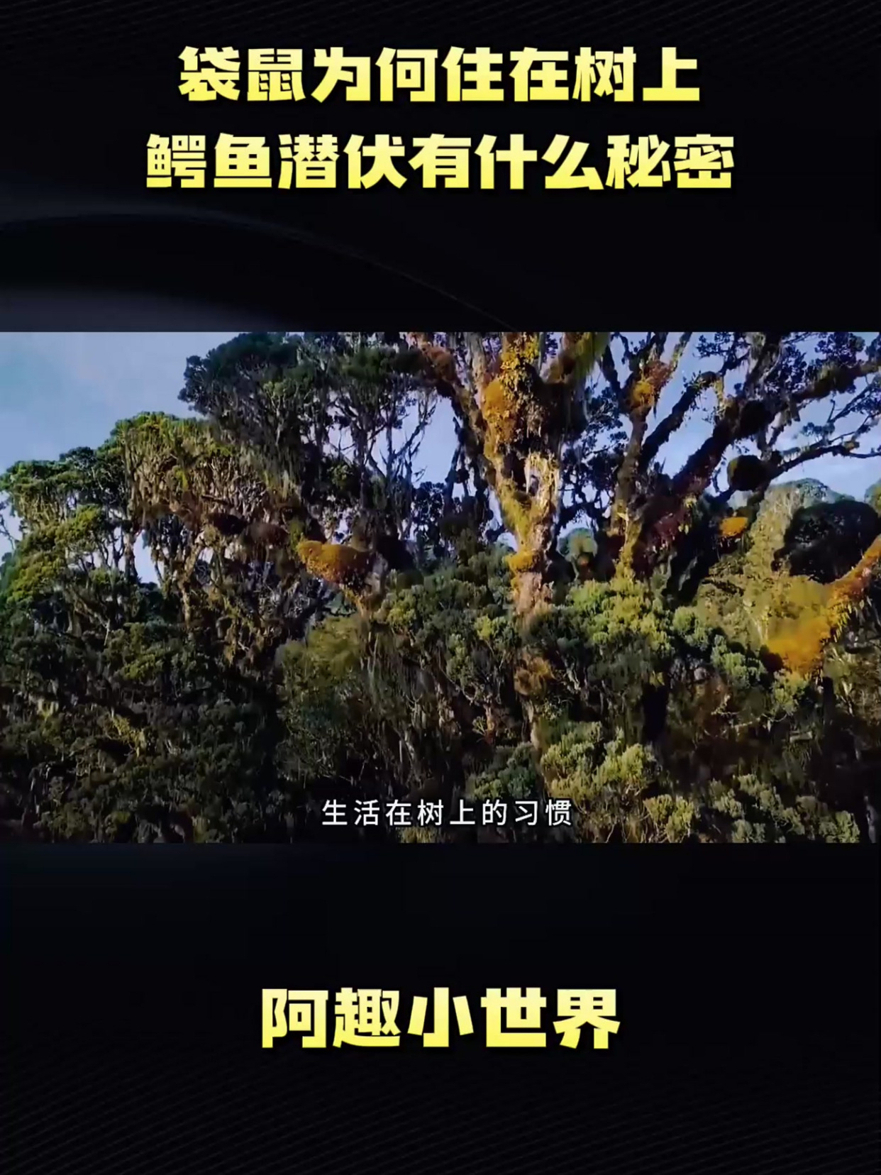 袋鼠为何住在树上,鳄鱼潜伏有什么秘密