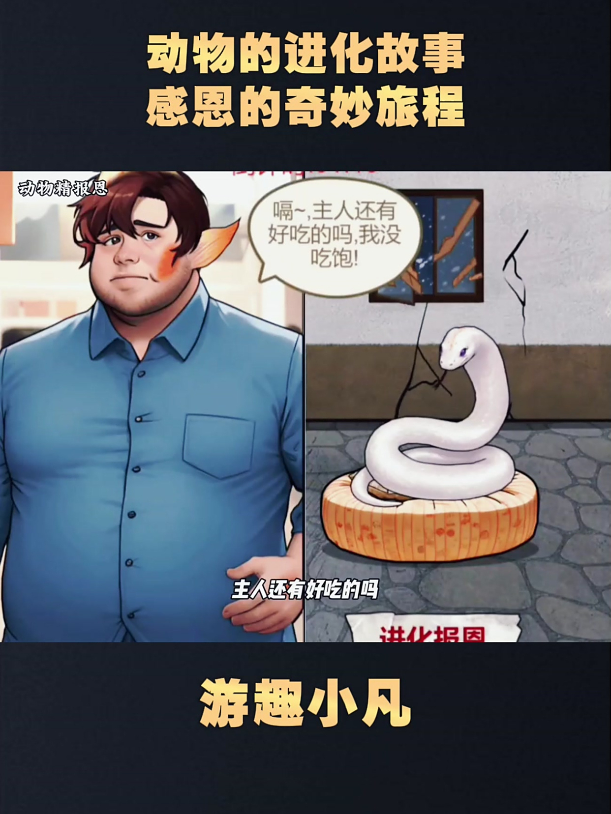 动物的进化故事,感恩的奇妙旅程