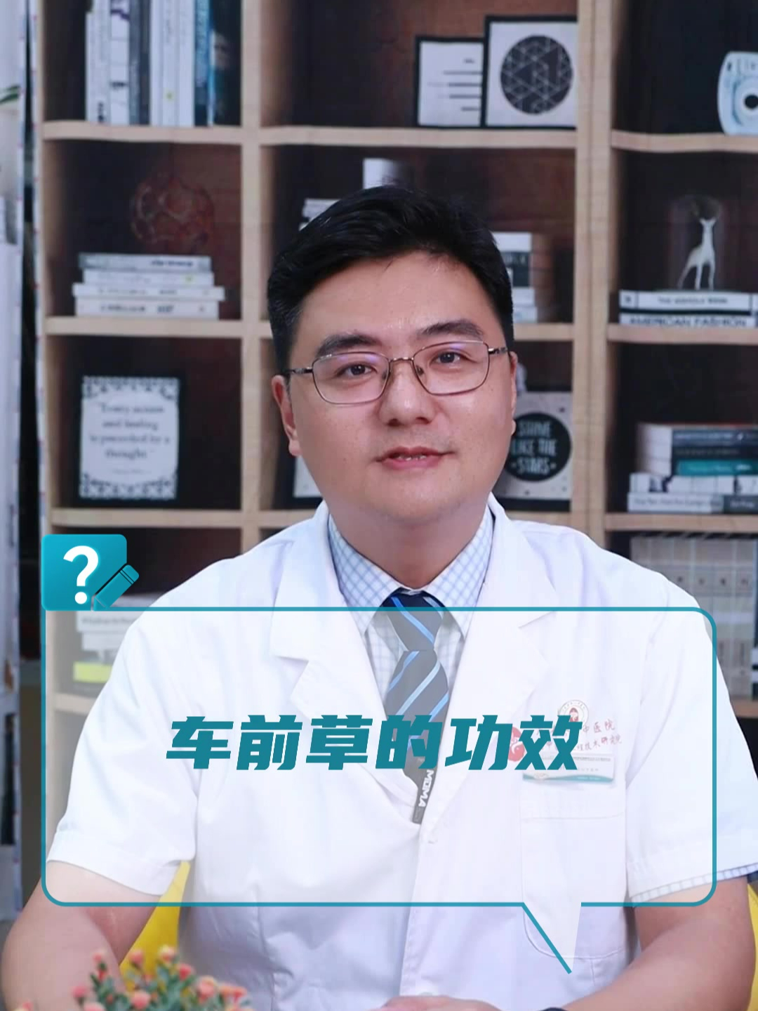 车前草的功效?