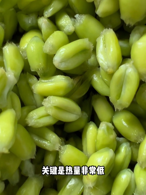 童年记忆里的味道,新鲜青麦仁,带着淡淡的清香,怎么做都好吃!