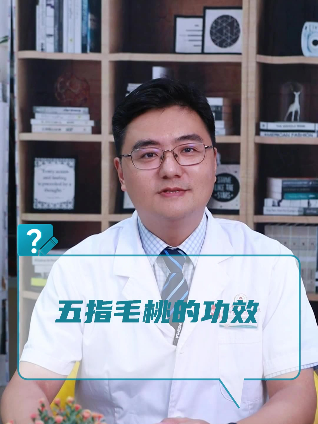 五指毛桃的功效?