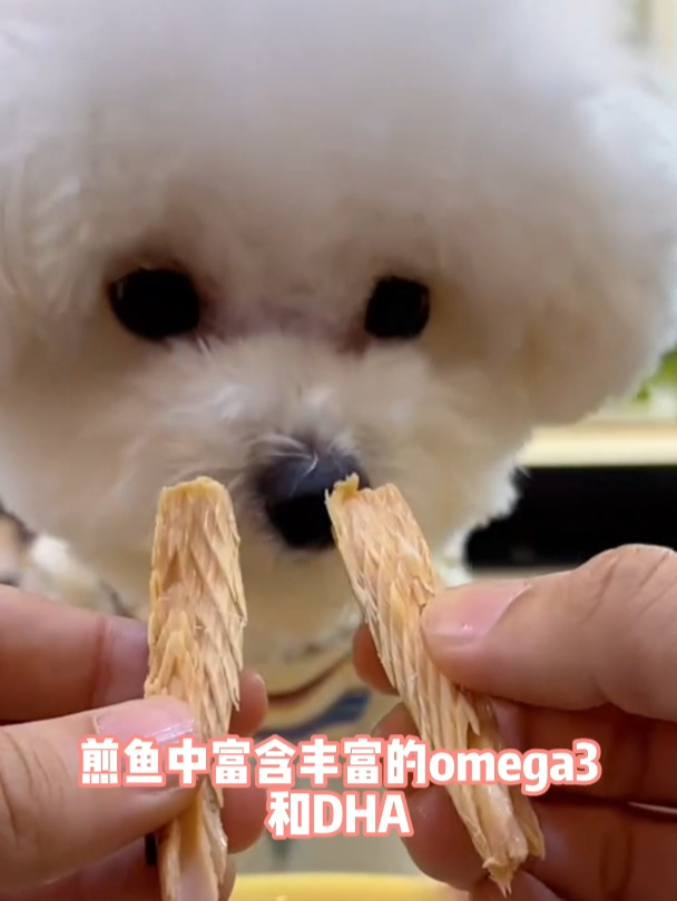 富含鱼油的鲣鱼条,鲜香美味,猫猫狗狗都能吃