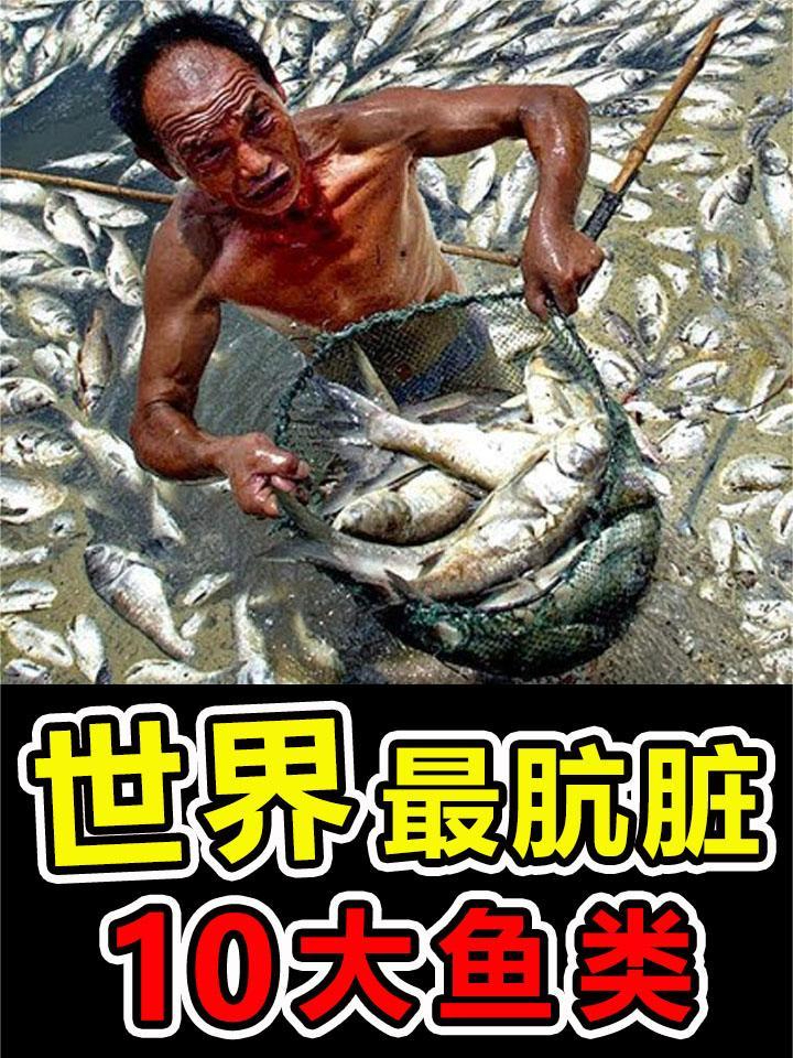世界上“最脏”的10大鱼类,第一名吃粪便长大,却成为必点美食