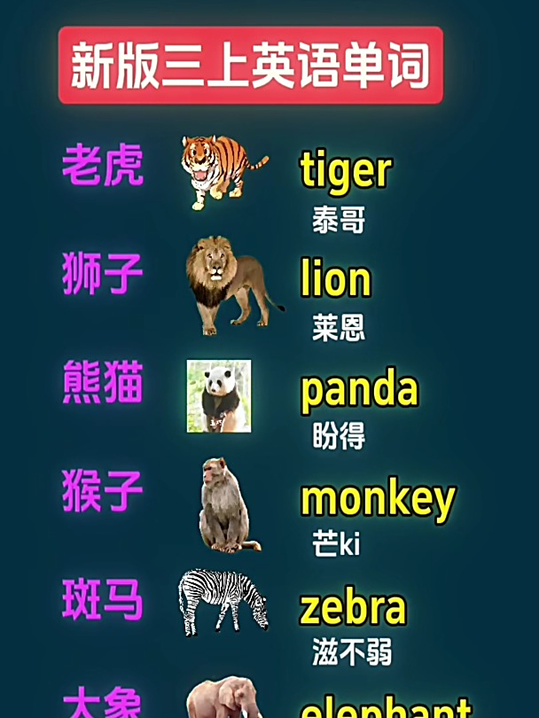 动物相关单词学习!英语单词跟读学习!高效记单词!