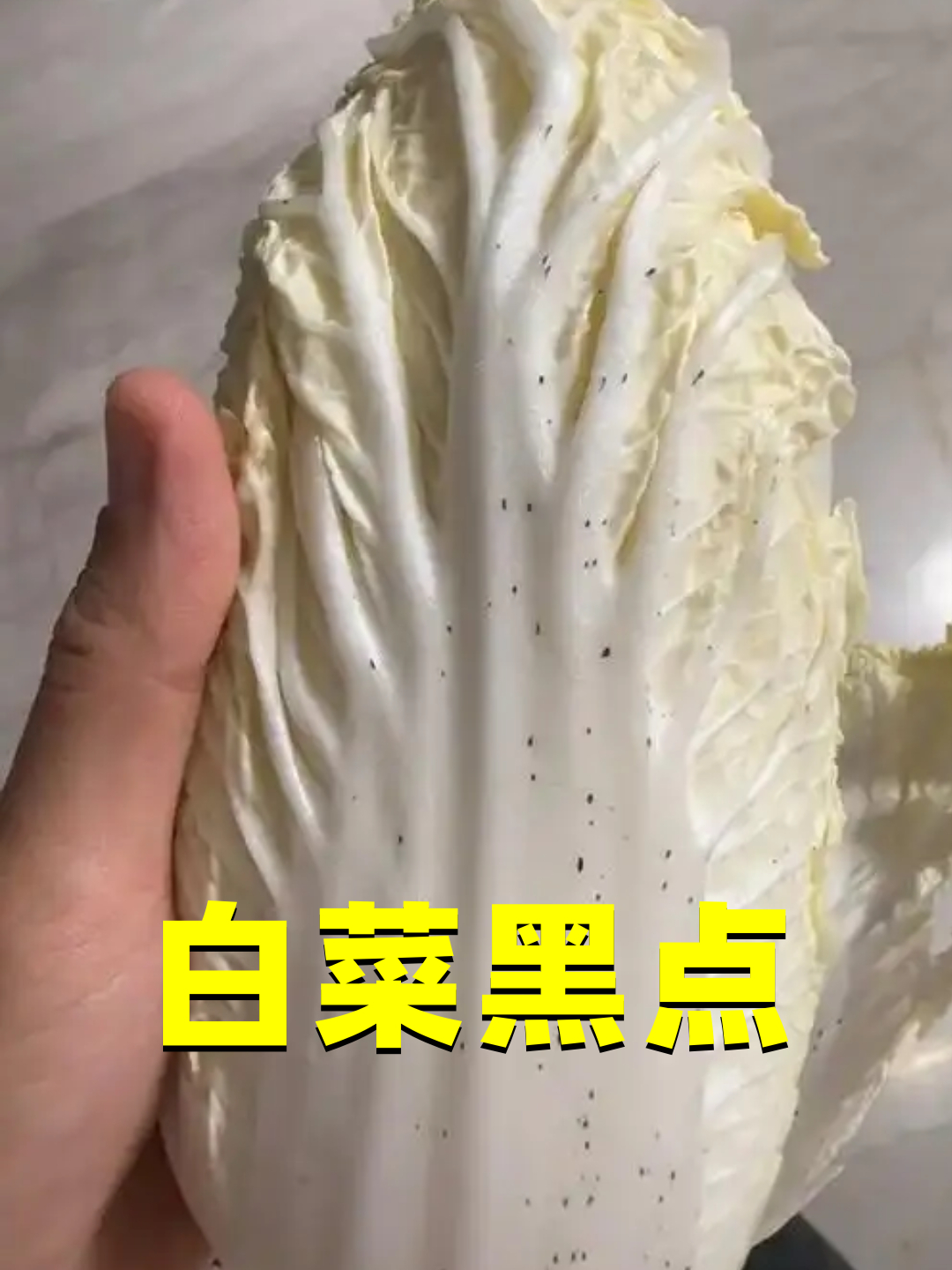 白菜叶子上的黑点,到底是什么?为什么怎么洗也洗不掉?