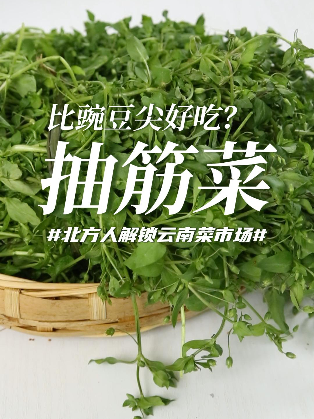 曾经喂猪的野菜,居然比豌豆尖好吃!你认识这个菜吗?
