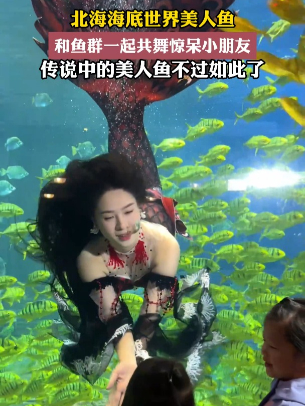 北海海底世界美人鱼,和鱼群一起共舞惊呆小朋友