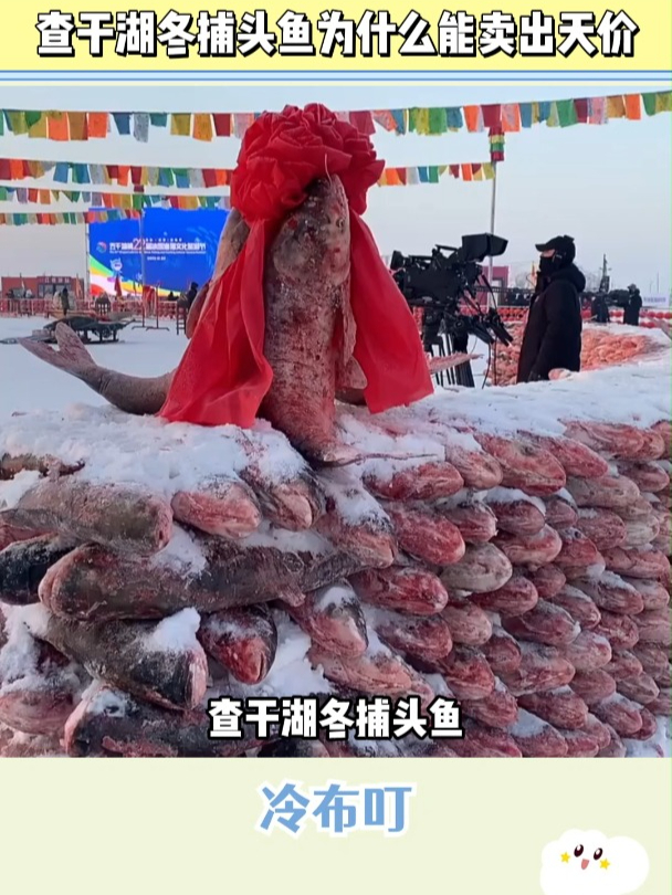 查干湖冬捕头鱼为什么能卖出天价?