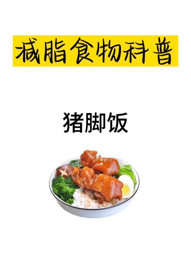 减肥食物科普之猪脚饭