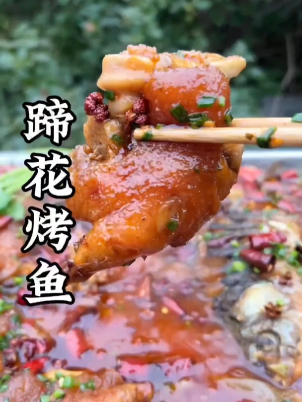 今天做一道创新特色菜,蹄花烤鱼