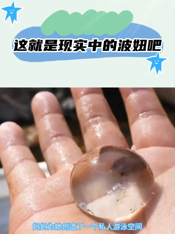 娃娃鱼的蛋,这就是现实中的波妞吧!