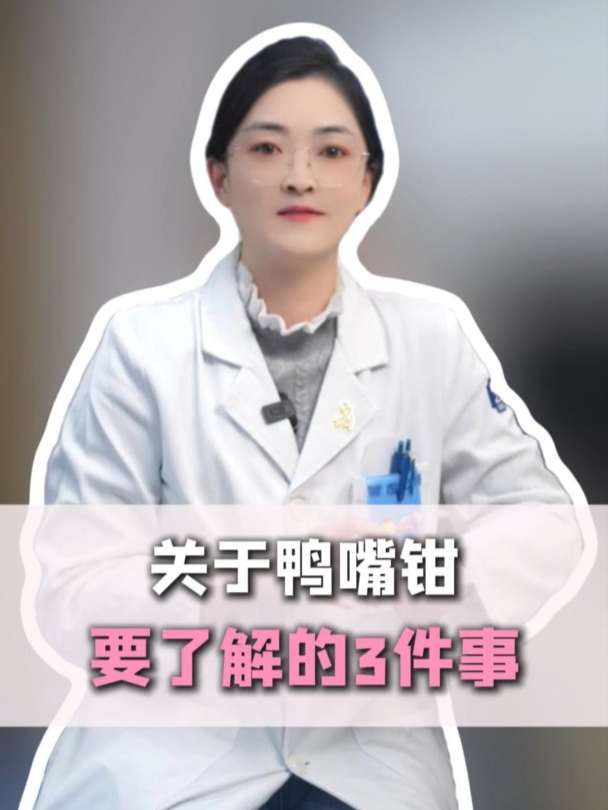 关于鸭嘴钳要了解的3件事