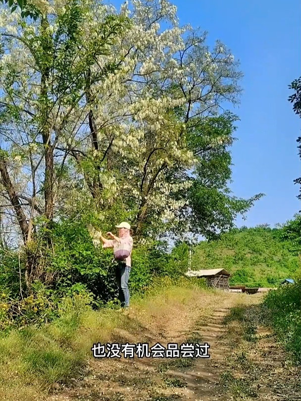那只大公鸡名字叫“大明”与“打鸣”谐音,记录农村生活,真幸福