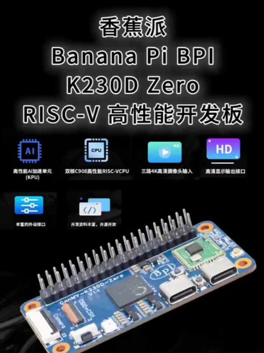 嘉楠科技 K230D RISC-V芯片设计开发板
