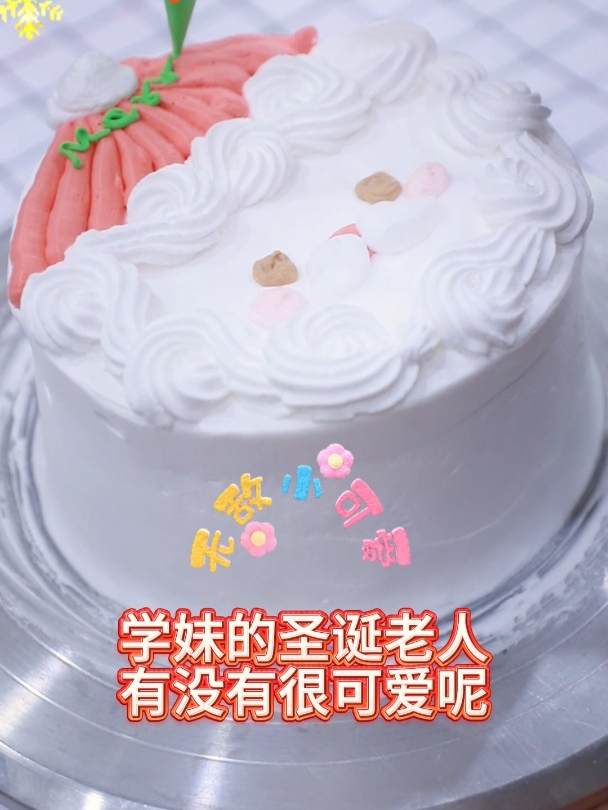 奶油裱圣诞蛋糕(2)
