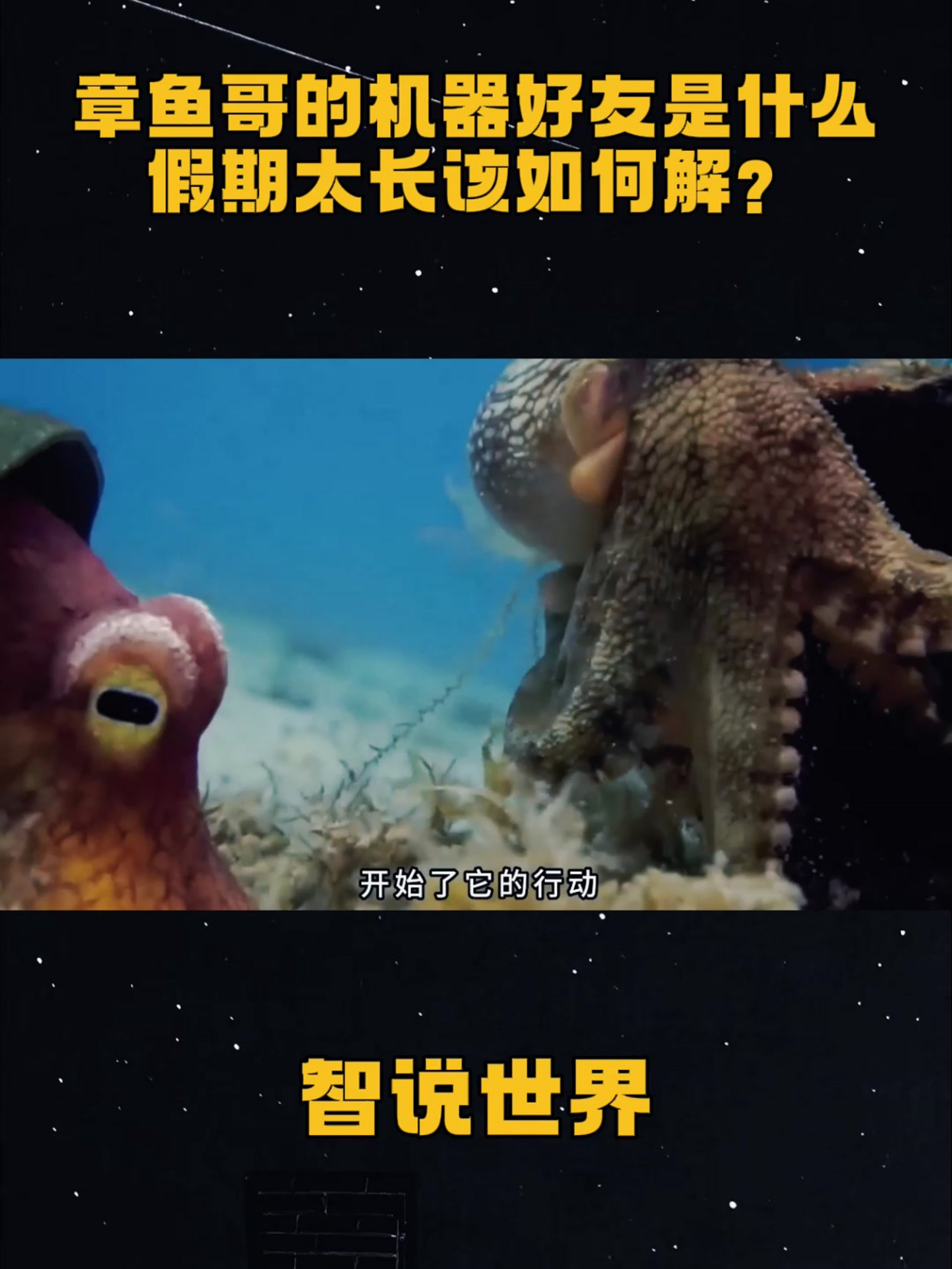 章鱼哥的机器好友是什么,假期太长该如何解?