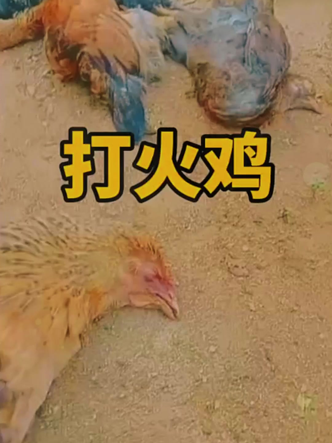 这是什么情况,为什么鸡嘴里冒火呀