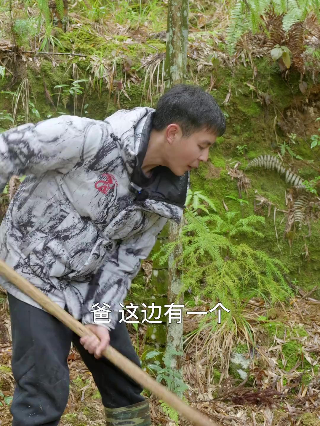 今天和老爸去挖了冬笋,煮了美味的冬笋汤