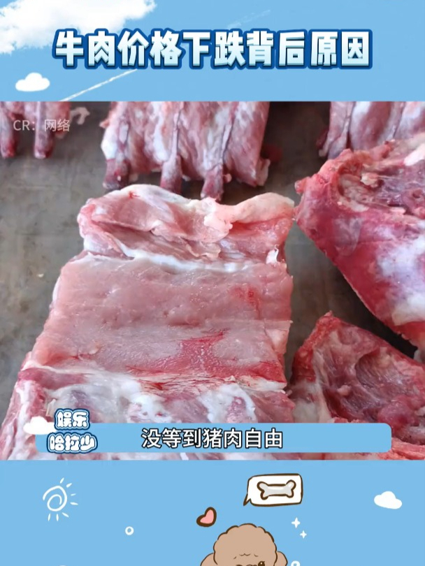 牛肉自由要比猪肉自由先来到?牛肉价格下跌 牛肉 猪肉