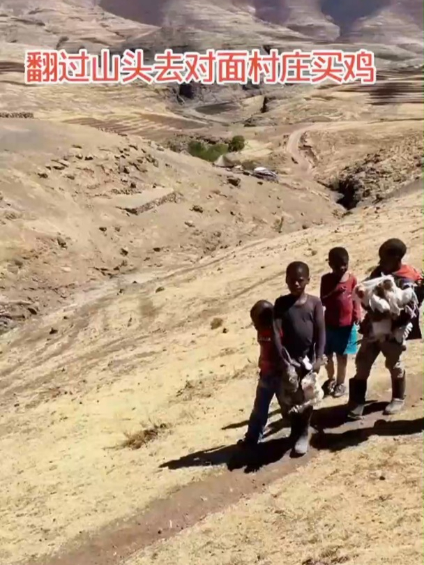 记录真实生活 现场实拍 海外生活 进部落买土鸡