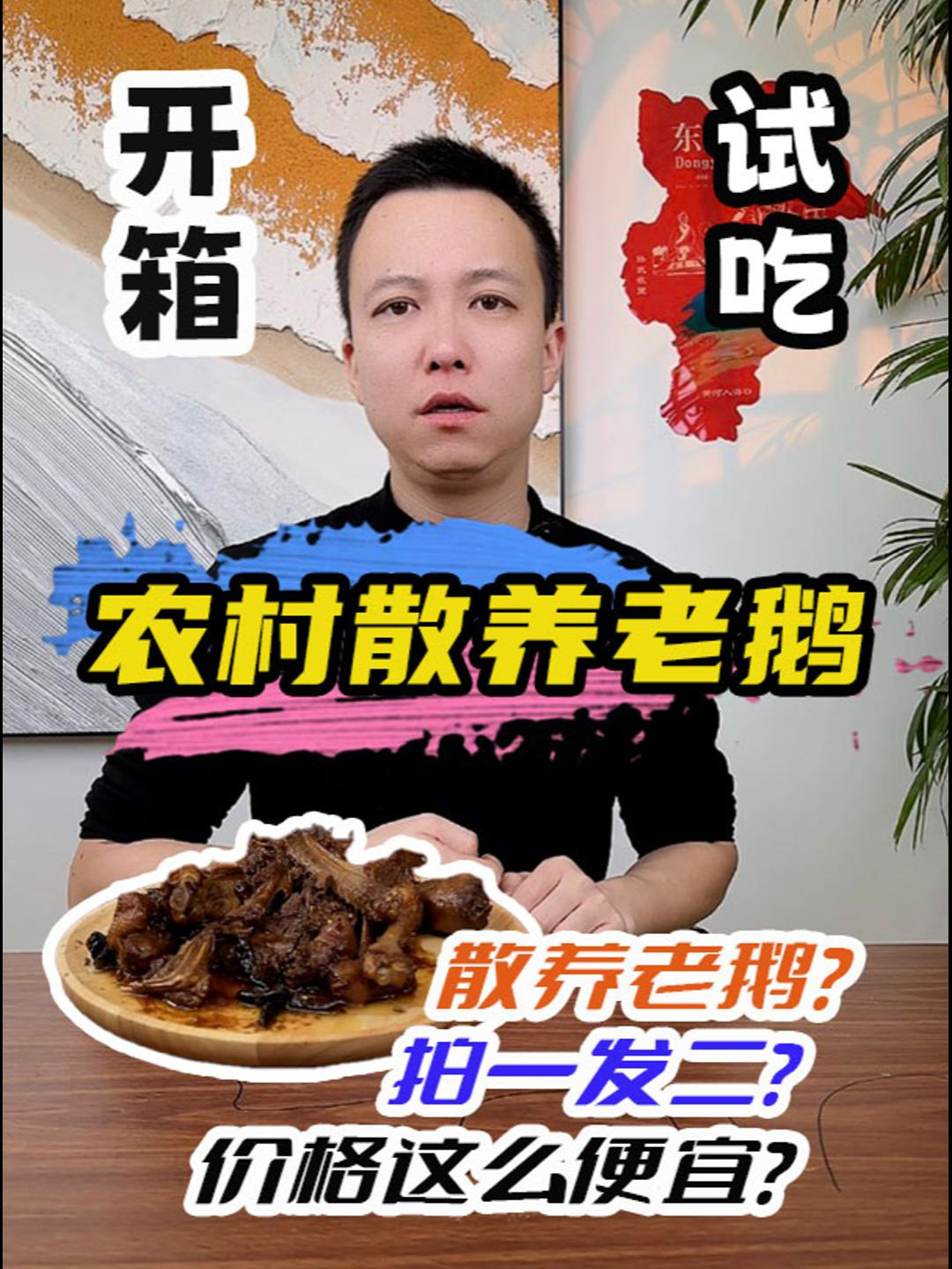 农村散养大鹅这么便宜?测评 开箱 大鹅 土鹅 试吃