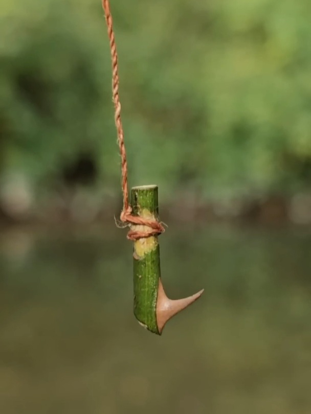 如何利用野外植物,来制作一枚鱼钩?