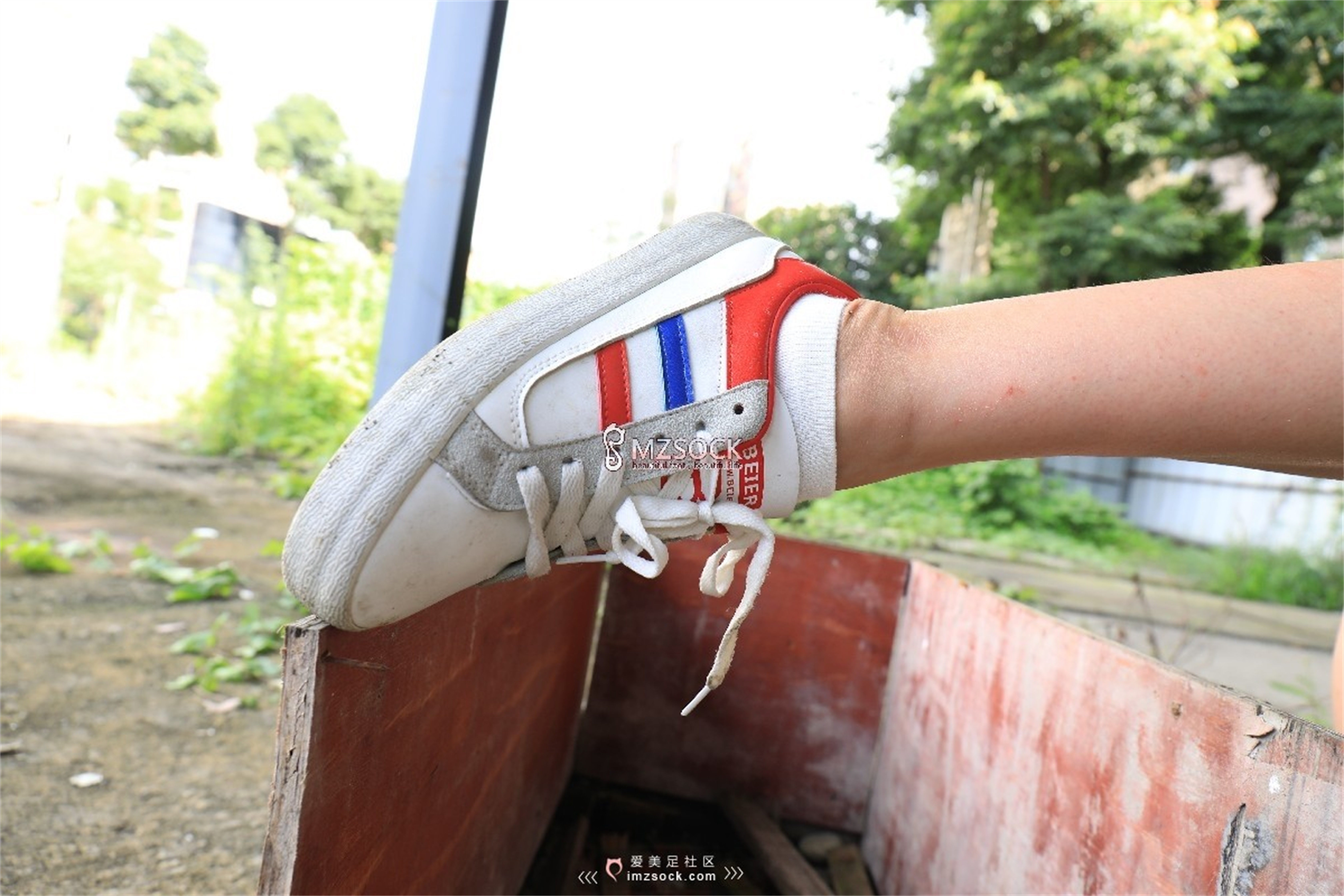 图片[41]-[MZSOCK]爱美足 NO.049 悦悦[122P403M]-六色网