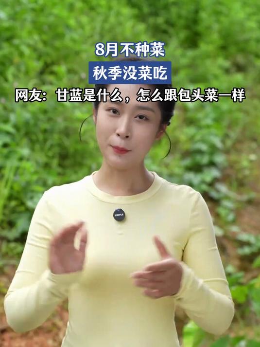 8月不种菜,秋季没菜吃,网友:甘蓝是什么,怎么跟包头菜一样