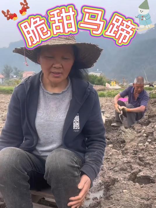 多汁马蹄,生吃脆甜炖煮更香