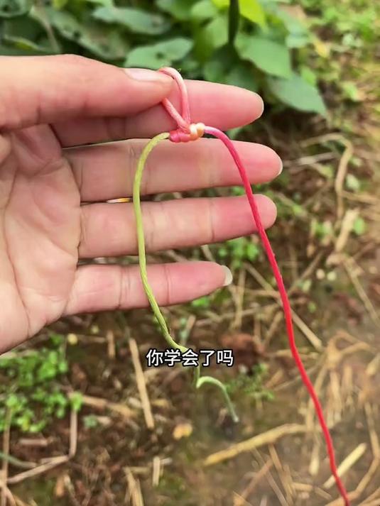 子线缠绕影响吃口怎么办?首先打结是技术活!