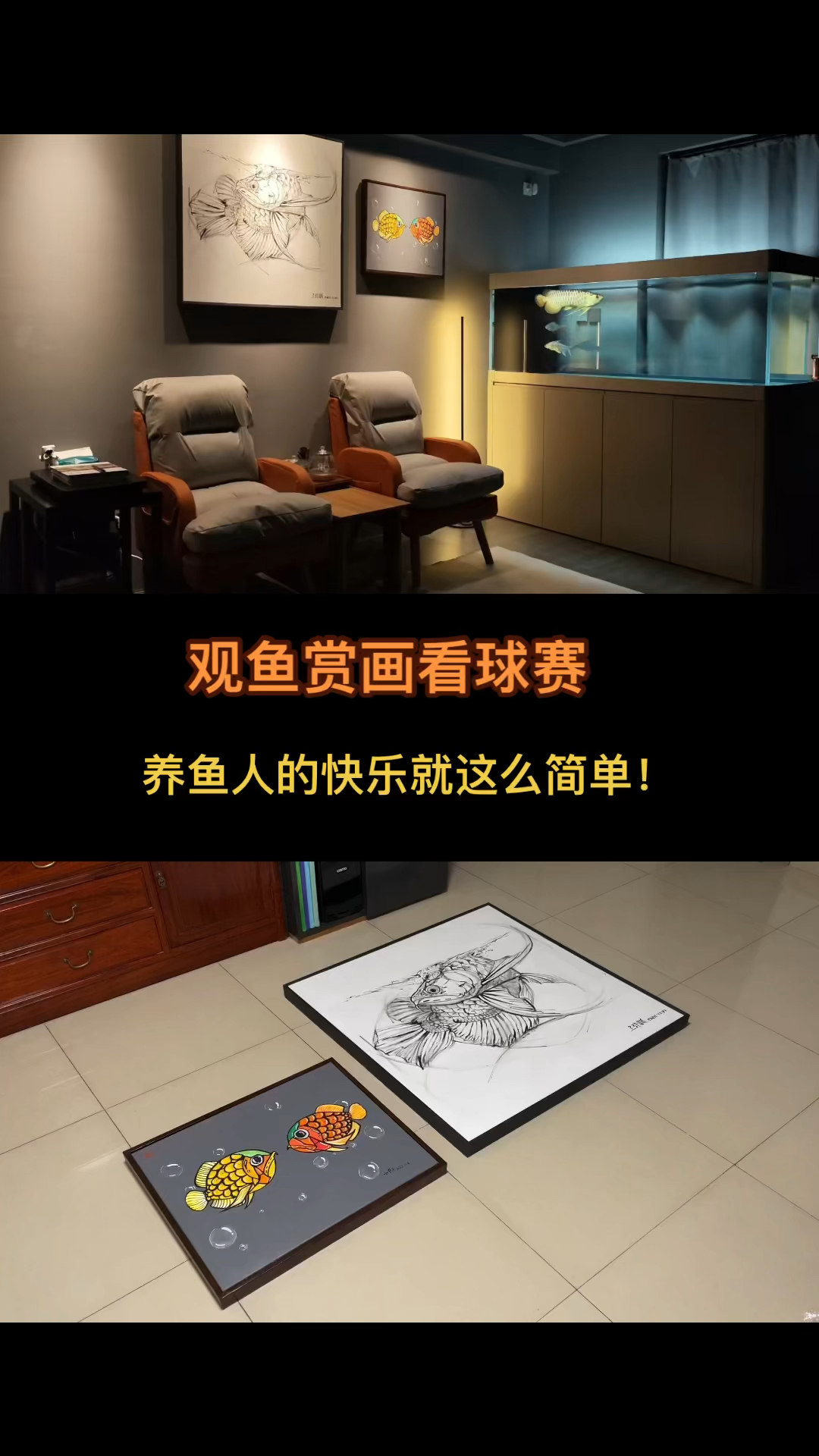 观鱼赏画看球赛,养鱼人的快乐就这么简单!