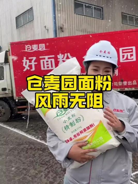 为了让好面粉走出新疆仓麦园面粉风雨无阻发货新疆面粉我吃仓麦园