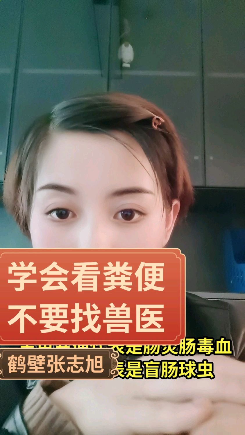 学会看粪便,不用找兽医