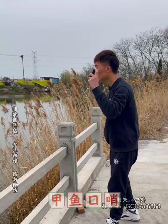 摇摇口哨,甲鱼就出来了,非常好玩