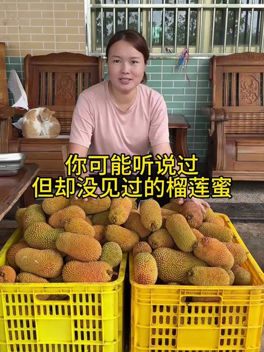 听说过榴莲蜜的“大名”,但你真的吃过它什么味道吗?