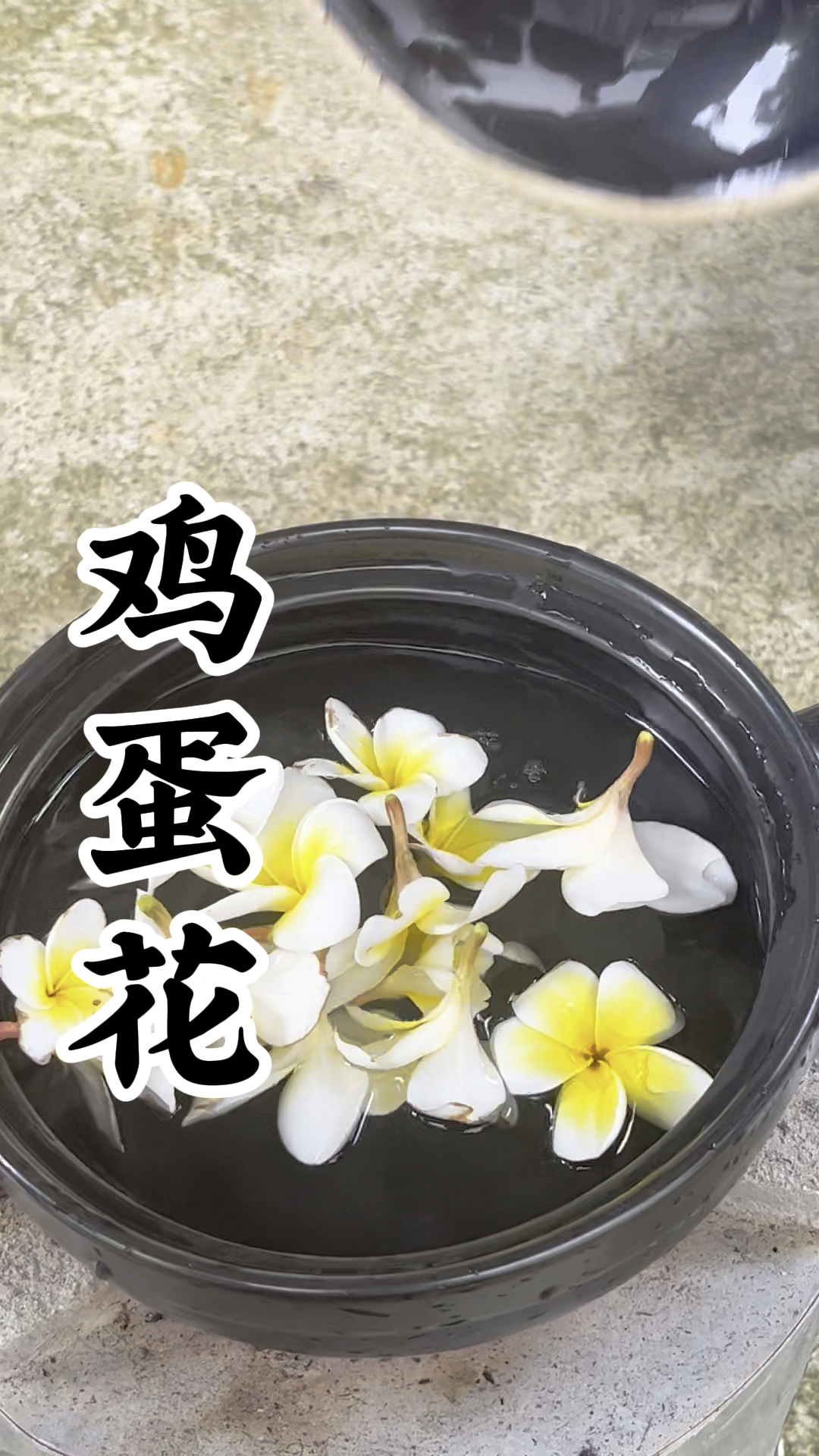 鸡蛋花,你们见过吗?