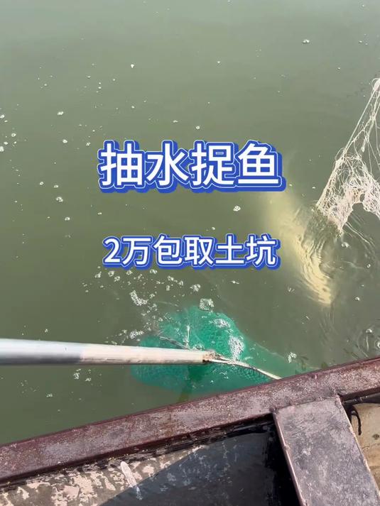 2万块包8年未干的取土坑逮鱼是种啥体验？